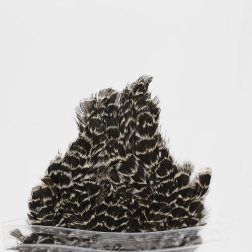 INDIAN HEN SADDLE