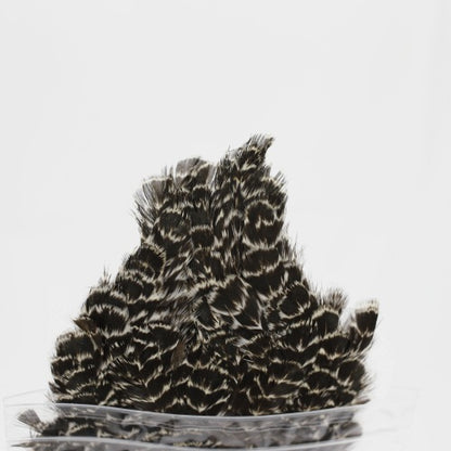 INDIAN HEN SADDLE