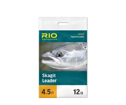 Skagit Leader