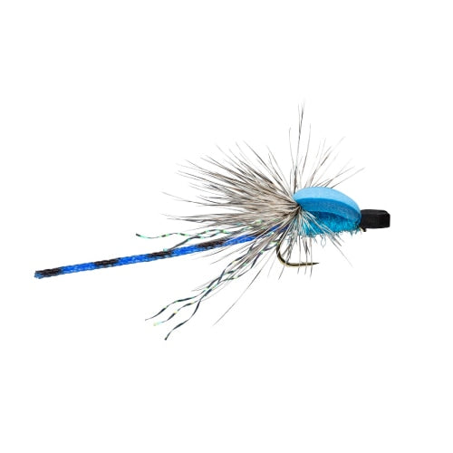 Damsel Adult