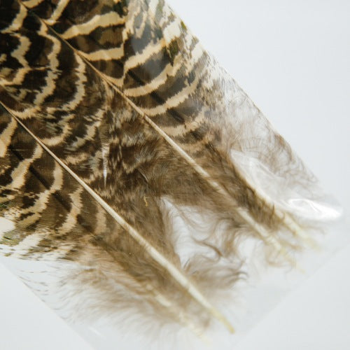 PEACOCK QUILL XS