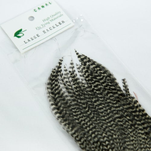 LARGE HACKLES
