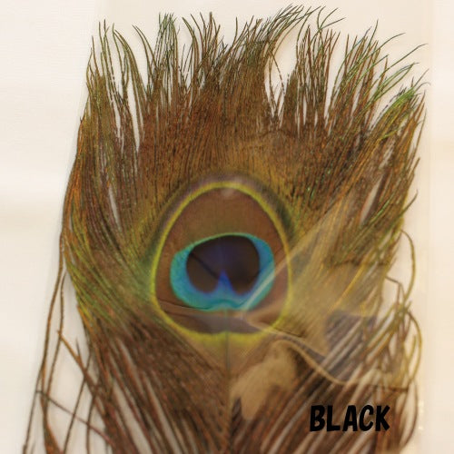 PEACOCK EYE