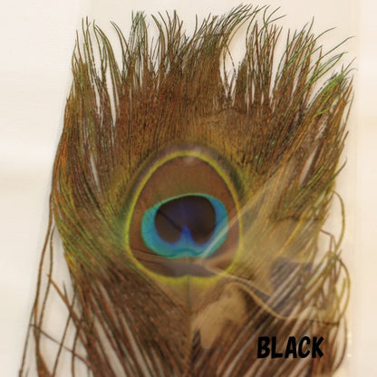 PEACOCK EYE