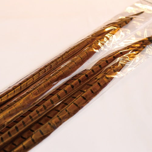 PHEASANT TAIL