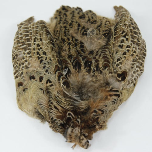 HEN PHEASANT-2