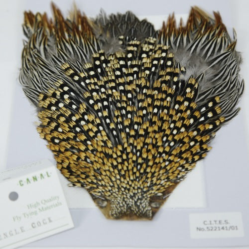 JUNGLE COCK