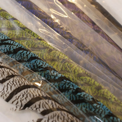 AMHERST PHEASANT TAIL