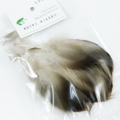 BROWN MALLARD Bulk Pack