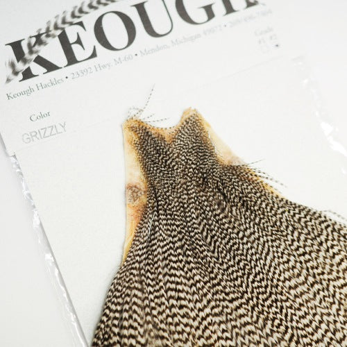 KEOUGH cape GRIZZLY #2