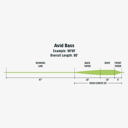 Avid Bass