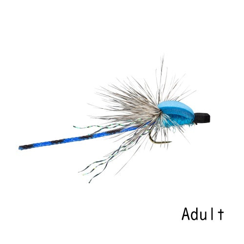 Damsel Adult