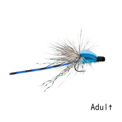 Damsel Adult