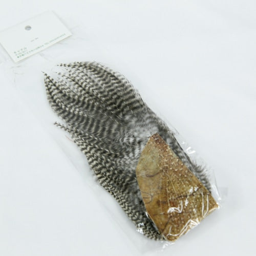 LARGE HACKLES