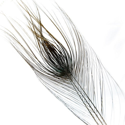 STRIPPED PEACOCK EYE XL