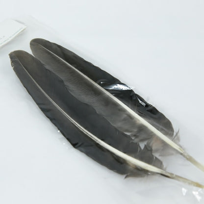 PEACOCK QUILL BLACK