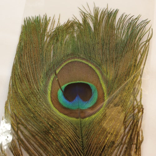 PEACOCK EYE