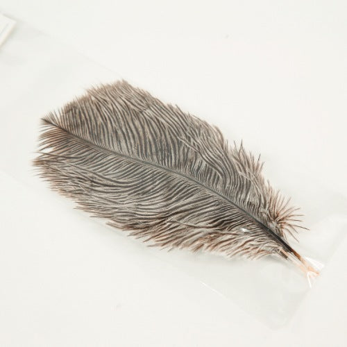 MINI OSTRICH