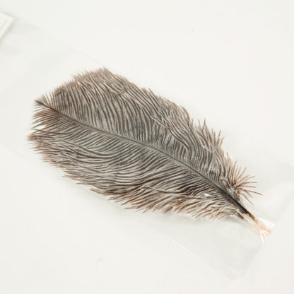 MINI OSTRICH