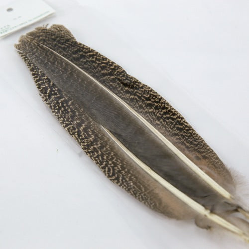 PEACOCK QUILL L