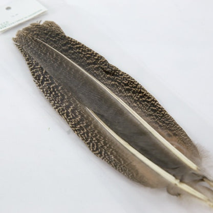 PEACOCK QUILL L