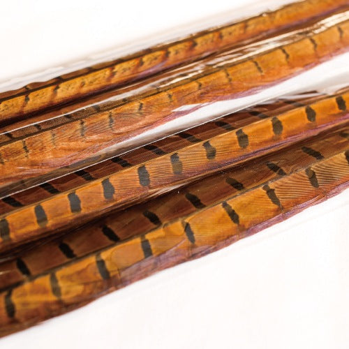 PHEASANT TAIL