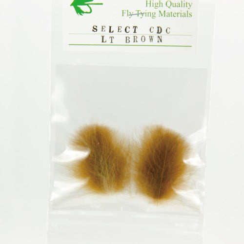 SELECT CDC