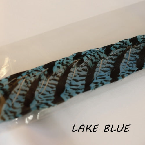 AMHERST PHEASANT TAIL