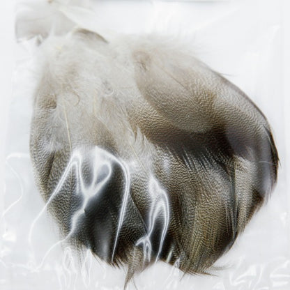 BROWN MALLARD Bulk Pack