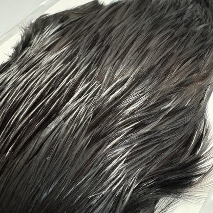 SPINNER WING BLACK NO.3