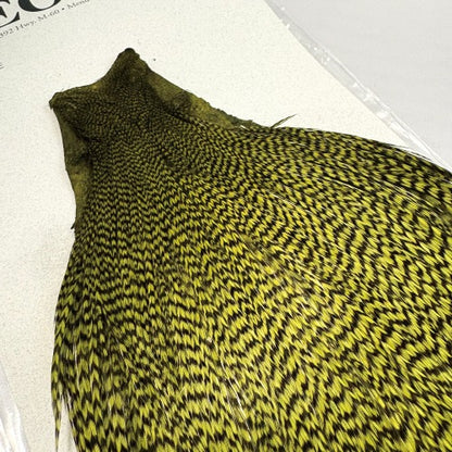KEOUGH cape GRIZZLY OLIVE #2
