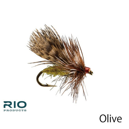 Spent Partridge Caddis