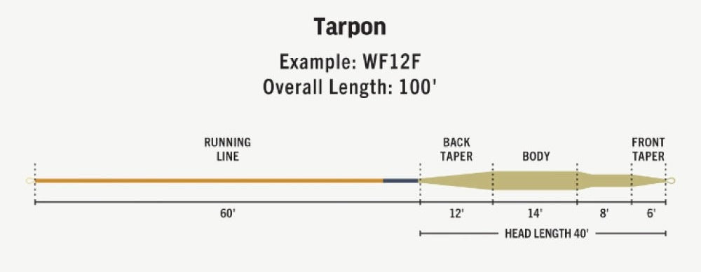 Premier Tarpon