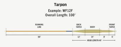 Premier Tarpon
