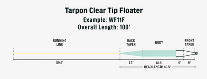 Tarpon Clear Tip Floater