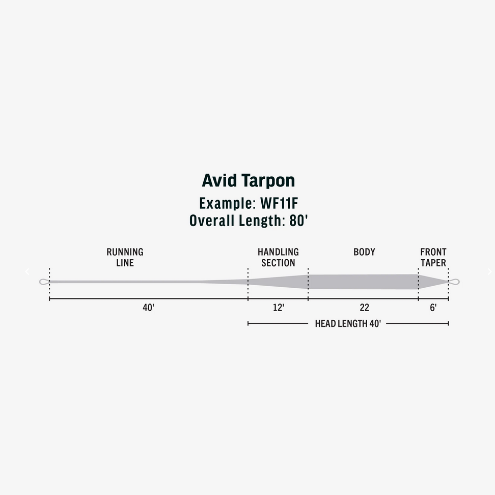 Premier Avid Tarpon