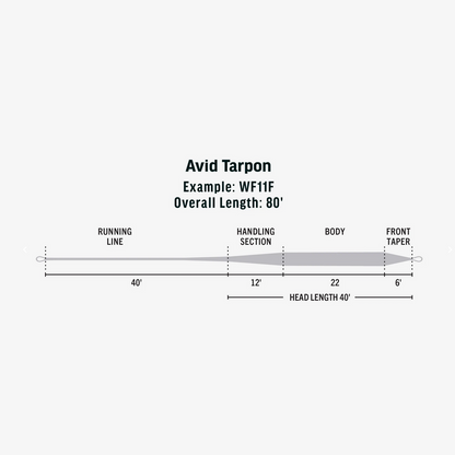 Premier Avid Tarpon
