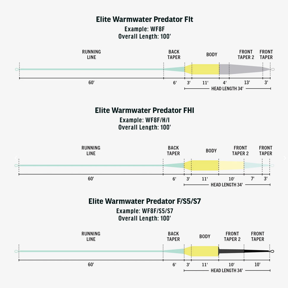 Elite Warmwater Predator