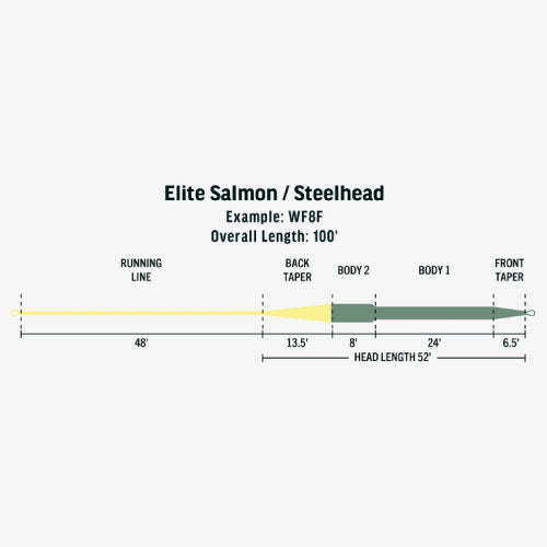 Elite Salmon/Steelhead