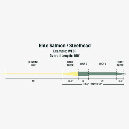 Elite Salmon/Steelhead