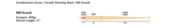 Scandi Body INT