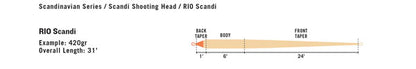 Scandi Body INT
