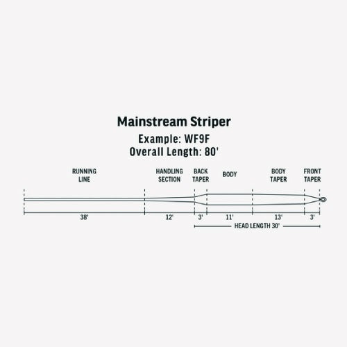 Mainstream Striper