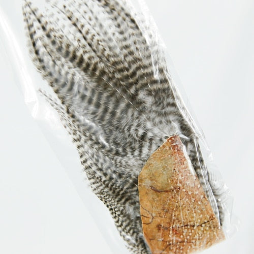 LARGE HACKLES