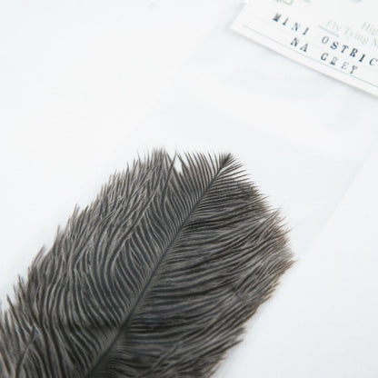 MINI OSTRICH