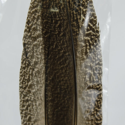 PEACOCK QUILL L