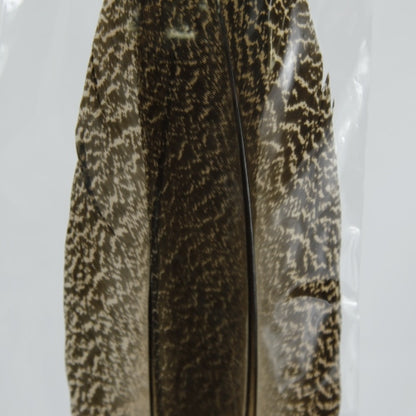 PEACOCK QUILL L
