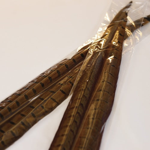 PHEASANT TAIL