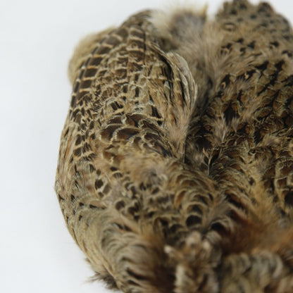HEN PHEASANT-1