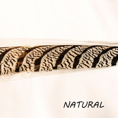 AMHERST PHEASANT TAIL